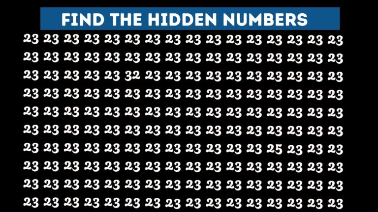 Hidden Numbers 25 And 32