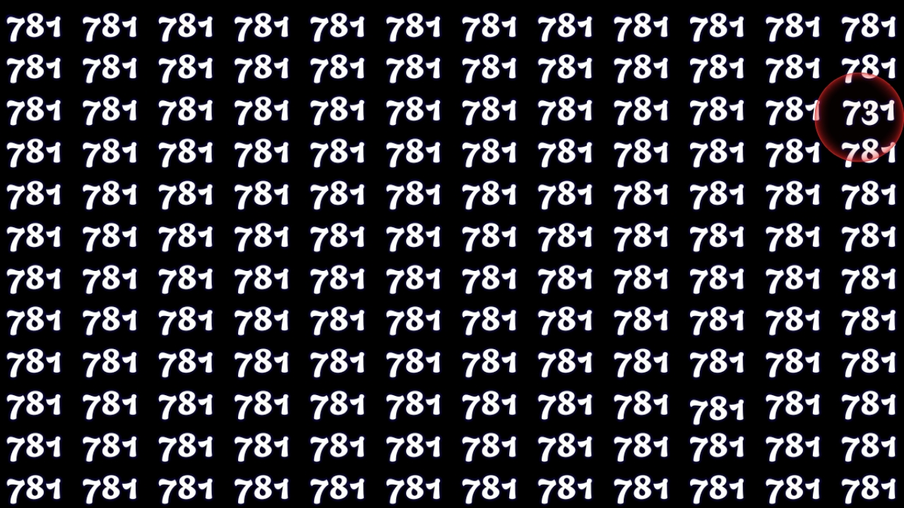 Find the Hidden Number