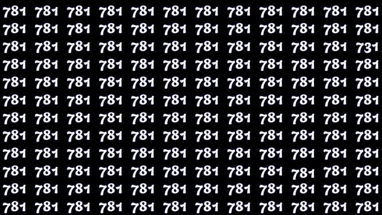 Find the Hidden Number