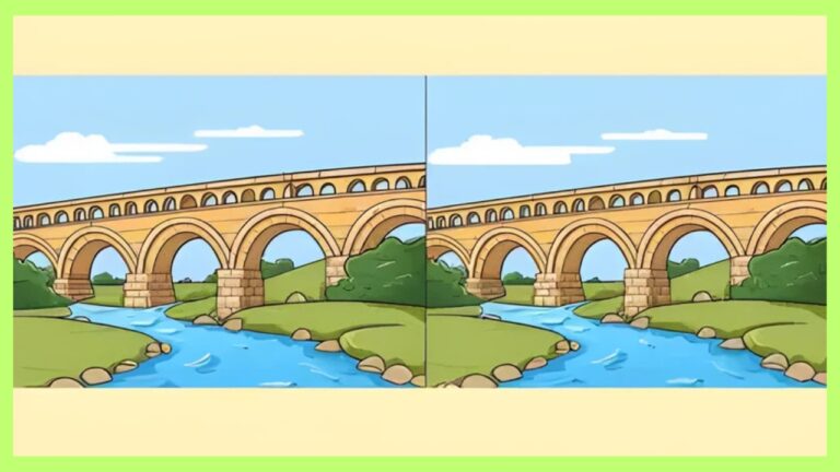 Differences in the Bridge Images